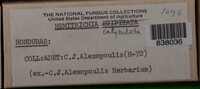 Image Associated With the Occurence